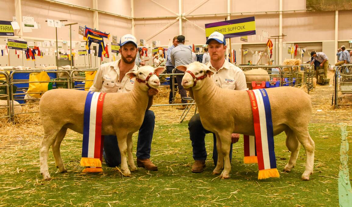 Brayden and Lachlan Gilmore, Baringa, Oberon, with their grand champion ewe and ram. 