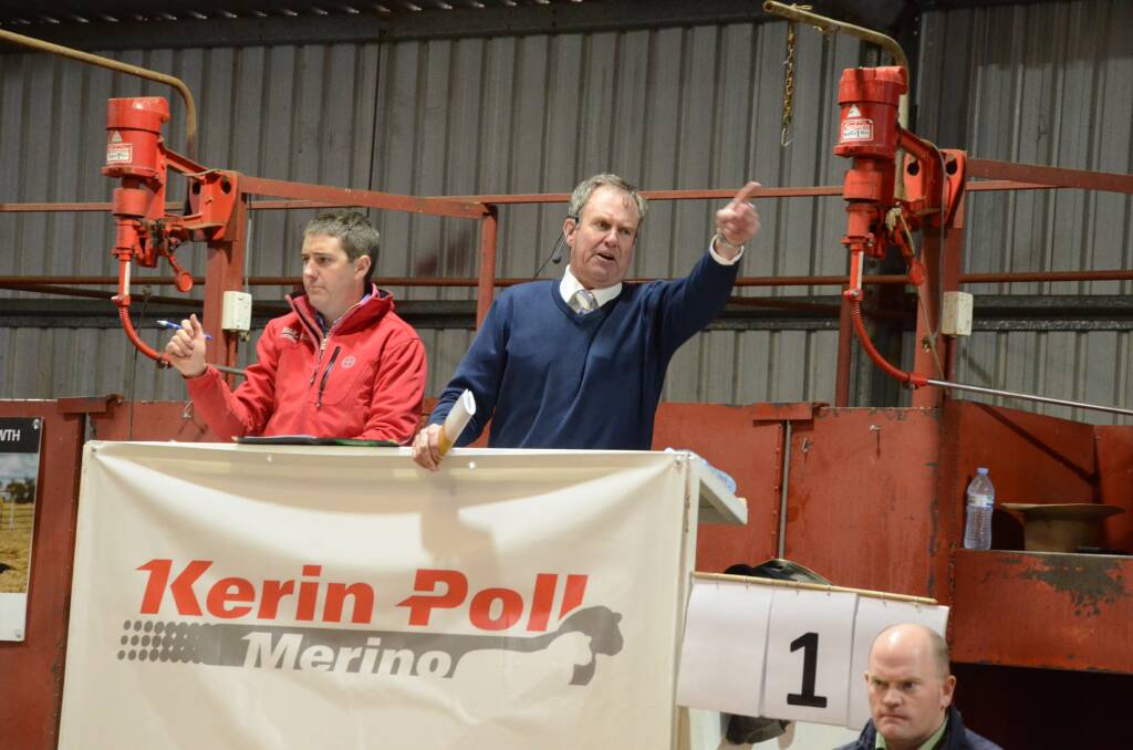 Paul Dooley in action at the Kerin Poll Merino sale. 