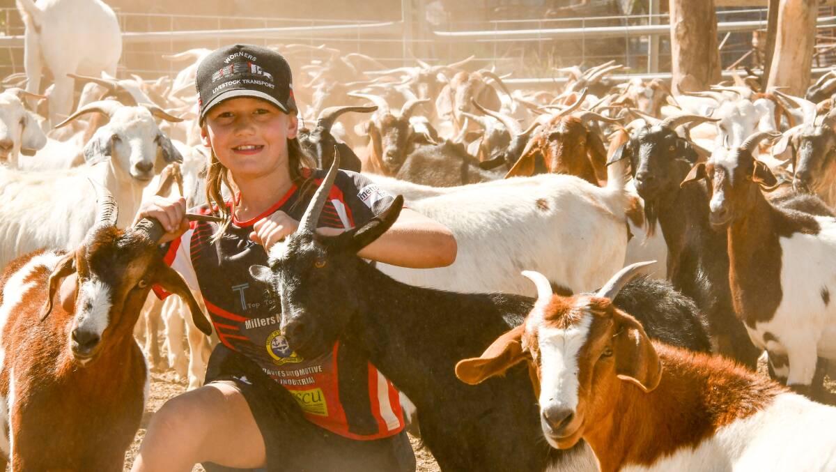Rhiley Worner is running a very profitable goat herd. Photos: Brett Tindal