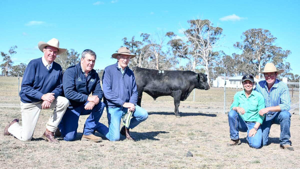The $30,000 top price bull with auctioneer Paul Dooley, buyers Glynn Langford and Keith Kerridge of Bannaby Angus, Taralga, and vendors Erica and Stu Halliday. 
