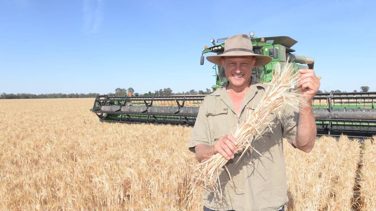 Mr Heckendorf began harvesting his barley last week and was harvesting 2.5t/ha at an F1 grade, while his untreated barley was only yielding 1.3t/ha at an F3 grade. 