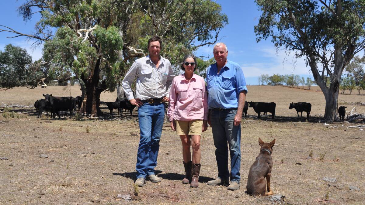 Stuart, Joanna and John Tait, Tait Pastoral Company, Sunny Downs, Mandurama, with a run of their Angus cows and their dog, Wendy. The Tait family won grand champion pen of five steers. 