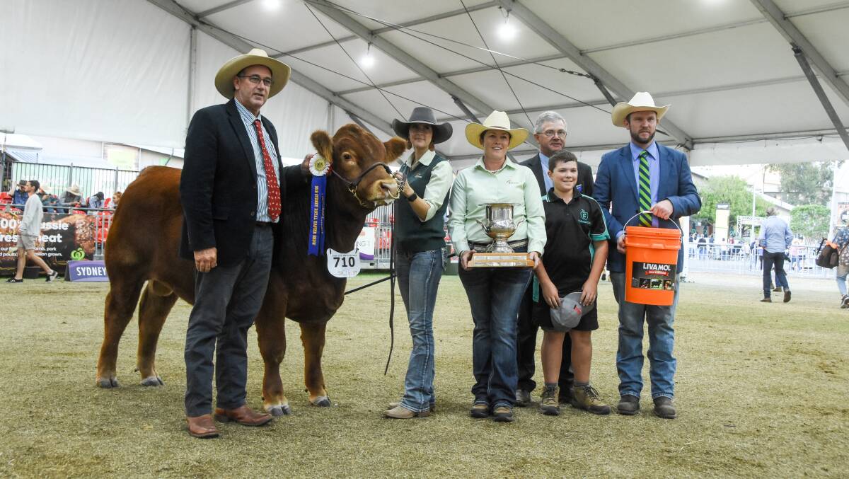 The junior and grand champion Limousin bull, Flemington Perfect Impact P15, pictured with ALBS president Mick O'Sullivan, handler Rhiannon Roth, owners Donna and Jack Robson, judge Gerald Spry, and International Animal Health's Shannon Lawlor. 