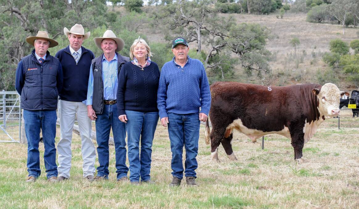Davidson Cameron and Co agent Scott Newberry with auctioneer Paul Dooley, Cascade's Jack Smith and buyers Del and Greg Rees of The Ranch at Tomingley and the $26,000 Cascade Longford Q079. 