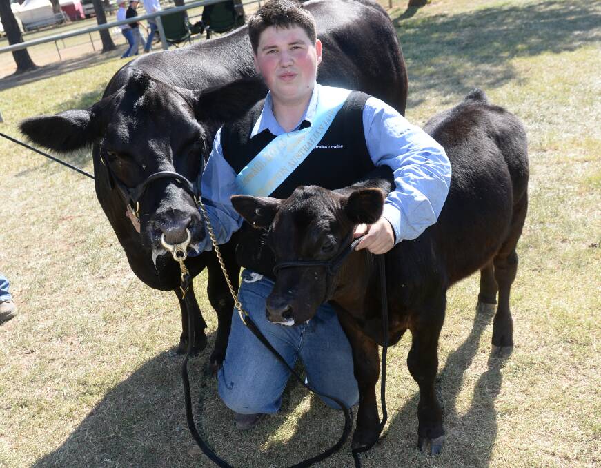Matt Cooney with his supreme champion Austrlaian Lowline, Tarrawarra Fantasia and her bull calf Tarrawarra Huf n Stuf. Picture: Rachael Webb