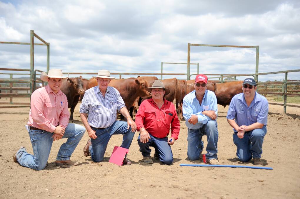 Elders stud stock auctioneer Lincoln McKinlay, assessors Roger Hann, Ross Anderson and Roger Evans with SBTS technical officer Boyd Gudex and some of the Red Angus bulls. 