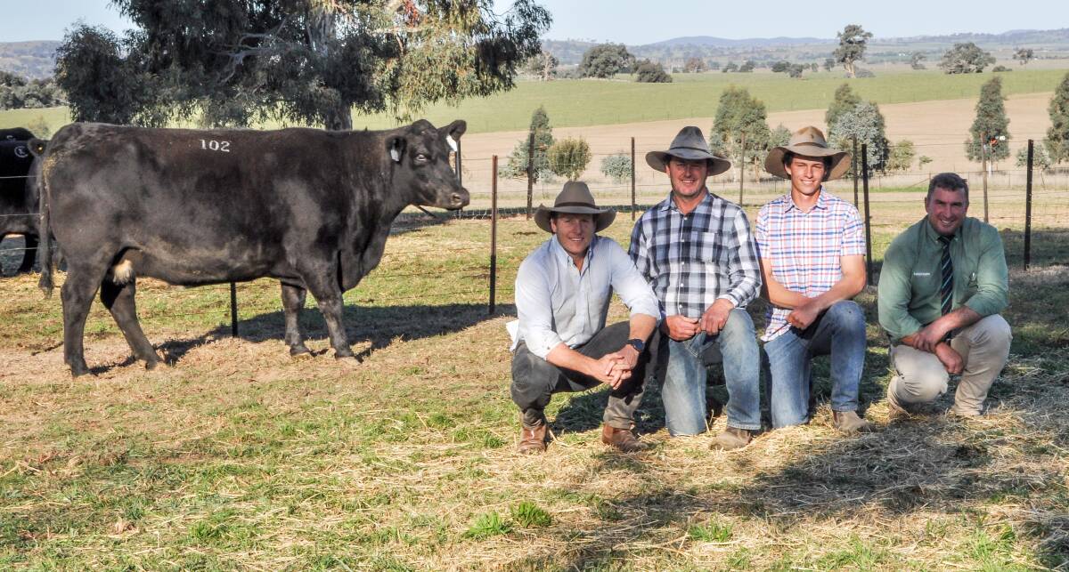 Kenny's Creek Bara G721 SV sold for $24,000 to the Connolly family of Redbank Angus Stud, Cowra. Pictured: Sam Burton Taylor, Kenny's Creek, Boorowa, Shaun and Alexander Connolly and Tim Woodham of Landmark, Wagga Wagga. 