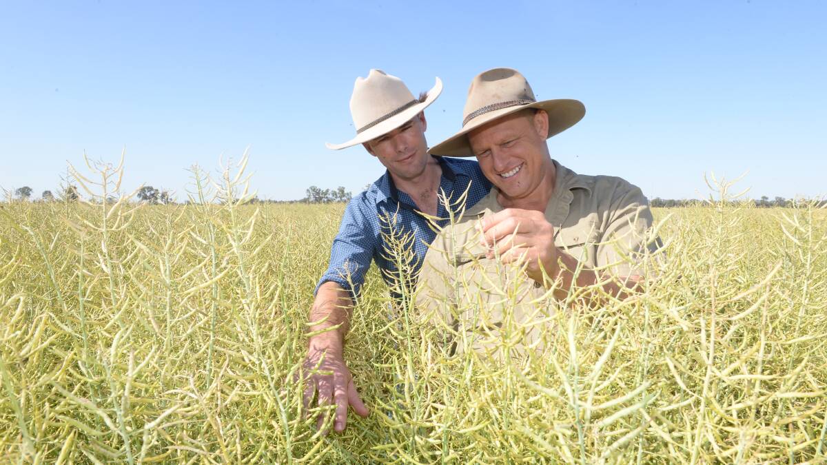 Lachlan Commodities trade manager Andrew Cogswell and Nathan Heckendorf, Top Reeds, Narrandera.