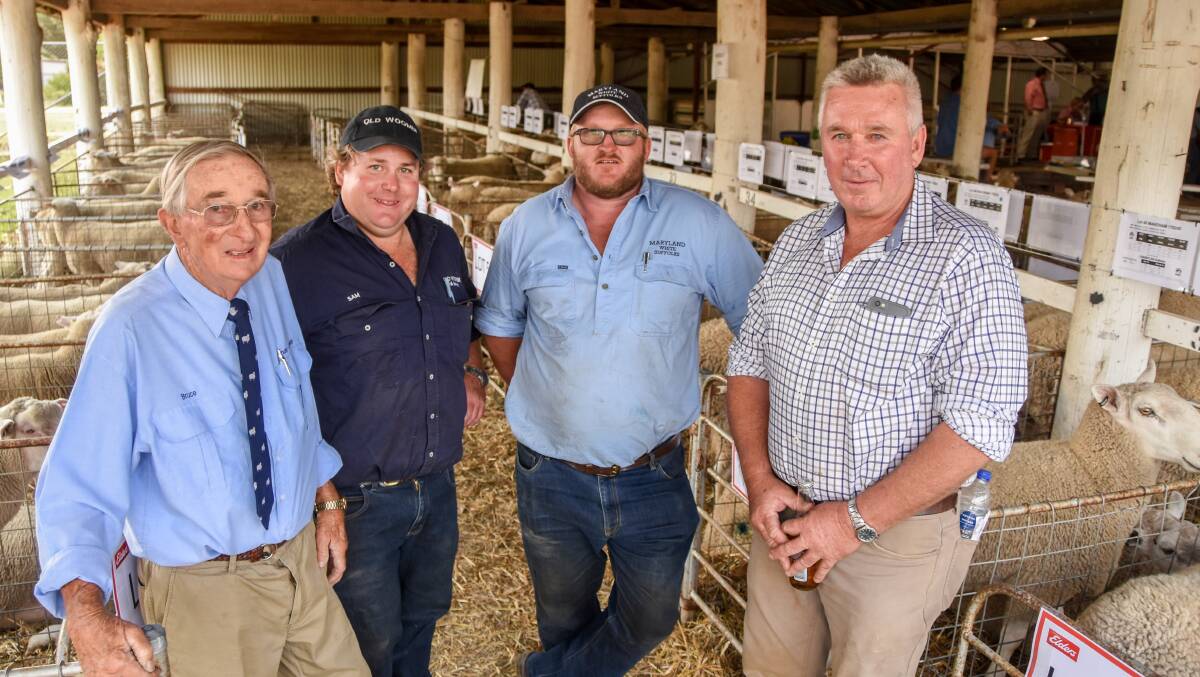Ram sale vendors Bruce Davidson of Chain-O-Ponds' Border Leicesters, Woolbrook, Sam Lisle of Old Woombi Poll Dorsets and Charollais, Walcha, Angus Burnell of Maryland White Suffolks, Wollun, and Michael Makeham of Abberley Park Border Leicester stud, Walcha. 