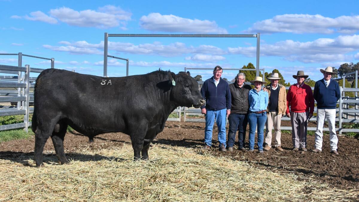 The $24,000 top price bull purchased by Damian Gommers, Mandayen Angus, South Australia, with their representative Dick Whale, vendors Sam and Kirsty White, Ian McDuie of RuralCom Marketing, Elders agent Brian Kennedy and auctioneer Paul Dooley. 