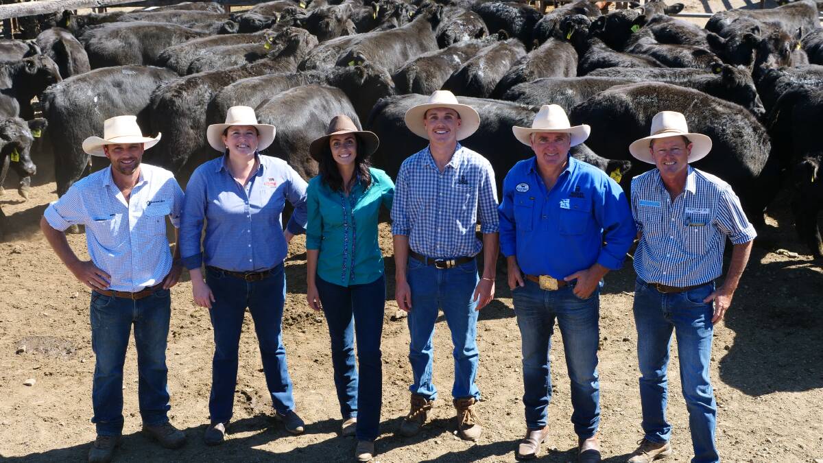 Bowe and Lidbury agent Rodney McDonald, Angus Australia commercial supply chain manager Liz Pearson, vendors Alex Linch, Jack and Robert Mackenzie and buying agent Chris Paterson with the Angus Verified steers. Photos: Supplied 