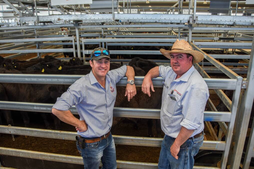 Vendor Fleetwood Grobler, Stockyard International, Bellfields, Gowrie, sold 90 cow and calf units and 25 PTIC females at the sale and is pictured with Paul Banks, Davidson Cameron and Co, Coolah. 