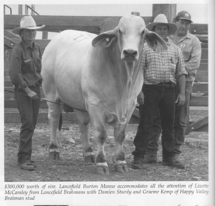 Lancefield Burton Manso with Lizette McCamley from Lancefield Brahmans and buyers Damien Sturdy and Graeme Kemp of Happy Valley stud. Picture: Brahman News