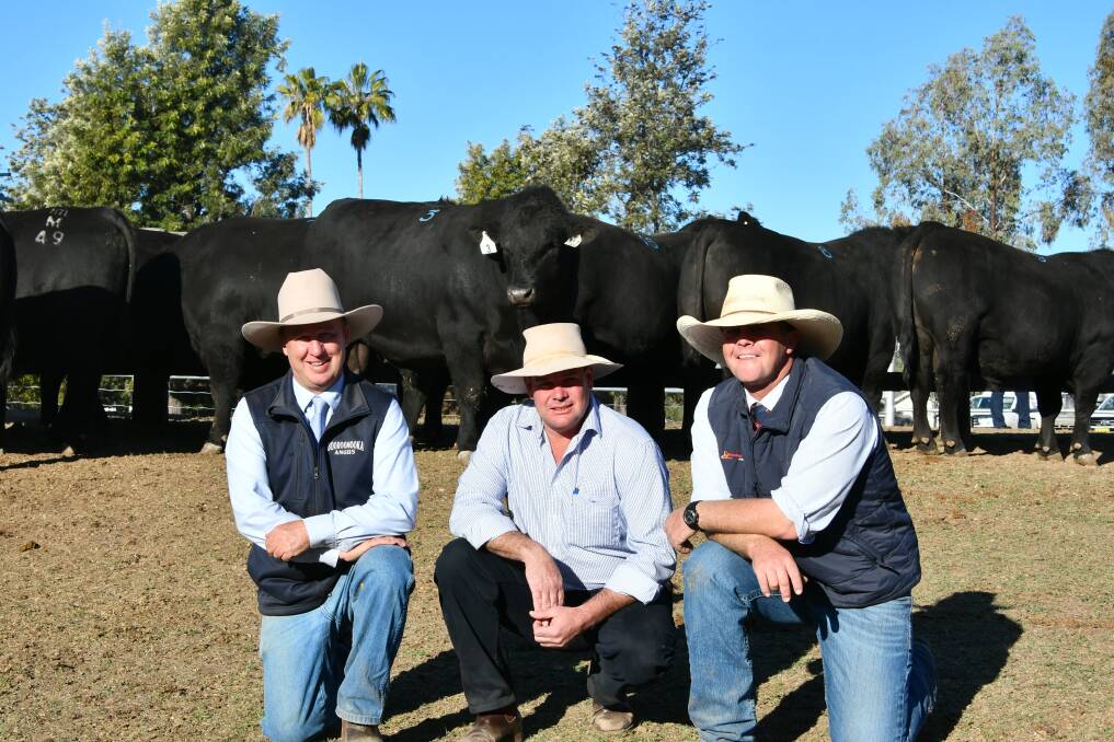 ABOVE: Booroomooka's Sinclair Munro with volume buyer, Peter Galvin AAA Pastoral Co, Victoria, and Davidson and Cameron agent Dave Henry after selling 217 bulls for a $1.9 million gross.