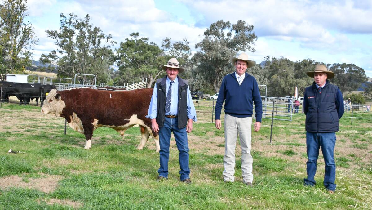 The $24,000 top price bull with stud principal Jack Smith, auctioneer Paul Dooley and Davidson Cameron and Co agent Scott Newberry. 