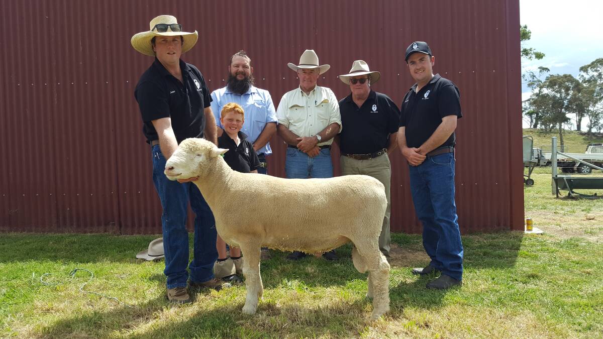 Amelie's James Sharpe and Billy Sharpe, Schute Bell agent Todd Clark, buyer Tim Norton and Amelie's Grahame and Brendan Sharpe with the top price ram. 