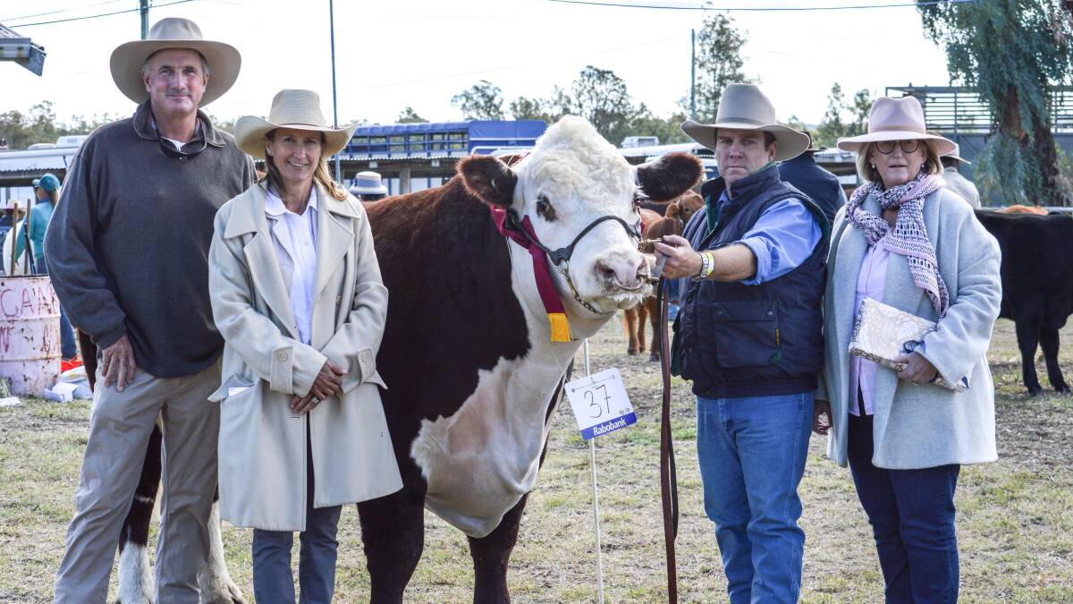 Ben and Wendy Mayne, Texas Angus, with Micheal Lamph of Neridah Poll Herefords and Donna Gilmour of Elders Insurance Moree. Photo: Shot By Laura Photography