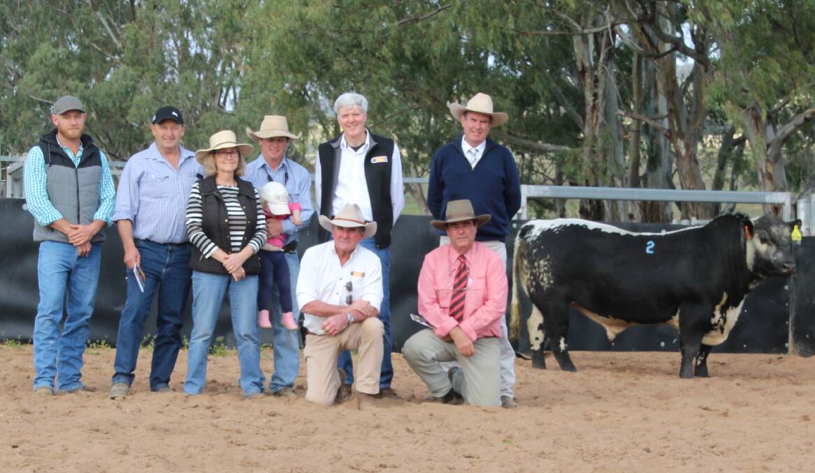 Members of the Plunderer buying syndicate including the Potter family, Polly and Clinton Austin, David Reid and Denis Power of Minnamurra, auctioneer Paul Dooley and Elders stud stock representative Brian Kennedy.