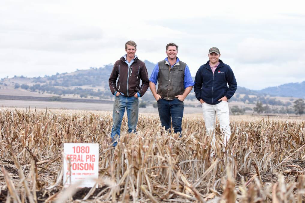 Producers Alasdair Cadell of Kroombit, Premer, and Andrew Campbell, Rockgedgiel, Bundella, with Central West Local Land Services biosecurity officer Will Thorncraft after the successful pest management efforts around the Premer/Tambar Springs area. 