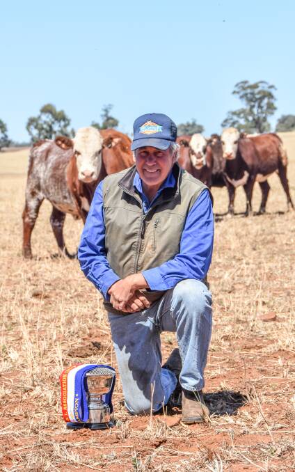 Paddy Carrigan's cattle were named overall winners of the Merriwa Feedlot Trial during a presentation night recently. Photo: Kylie Raines
