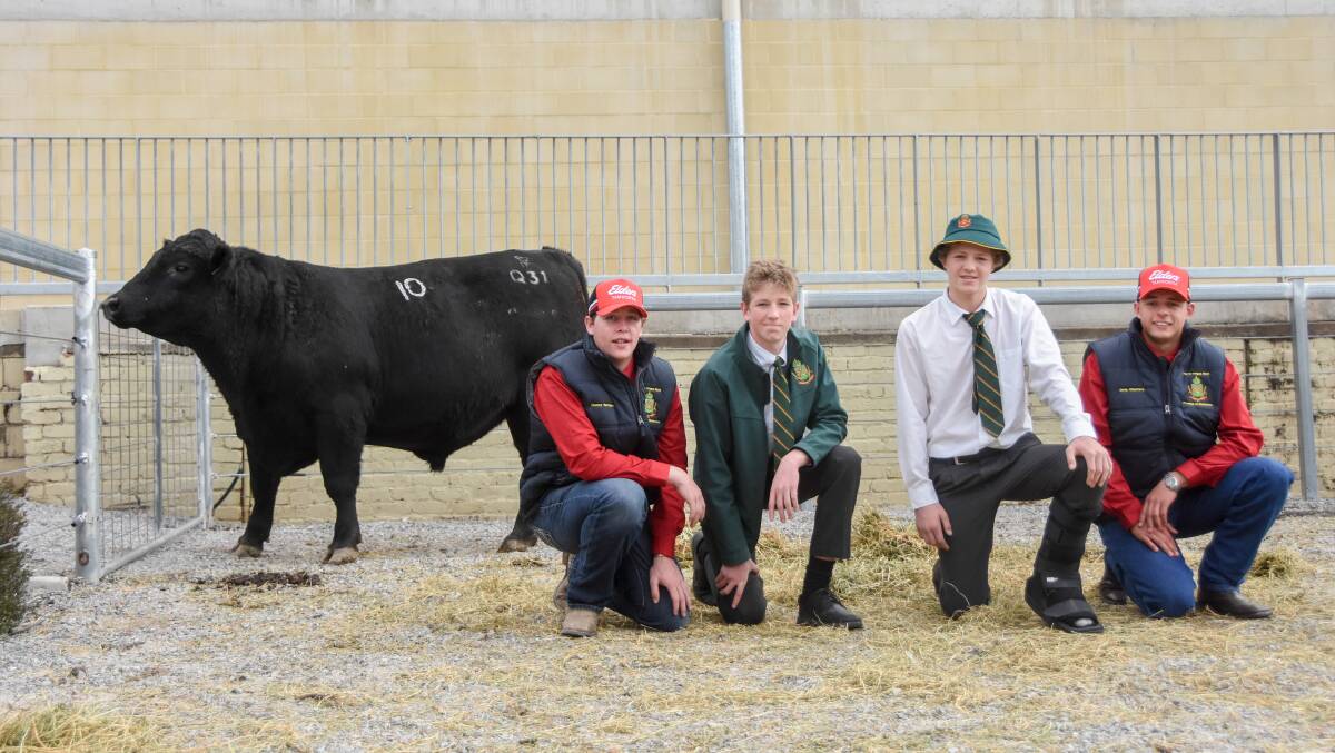 The $19,500 top price bull with student Clancy Hertslet, buyer representatives Clancy and Dusty Wyrzykowski of Te Koona, Fitzgeralds Valley, and fellow student Ernie Charters. 