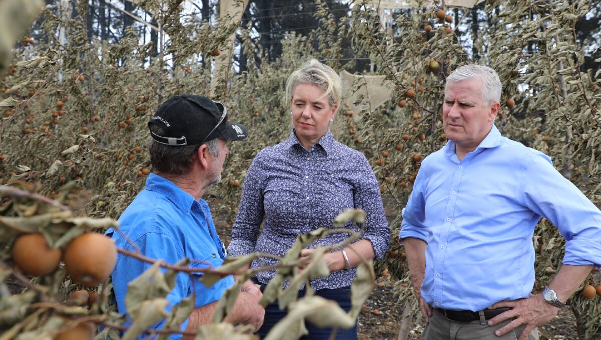 Deputy Prime Minister Michael McCormack (right) in bushfire affected orchards. 