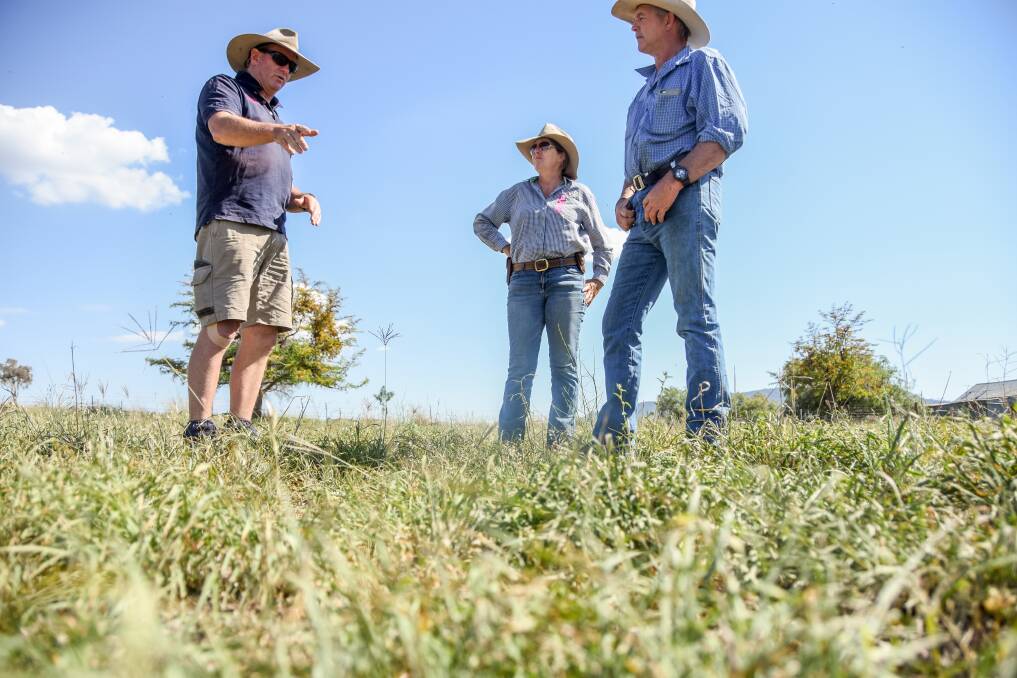 Hart Rural Agencies senior agronomist Andrew Jack is behind a tropical pasture trial with producers like Manilla's Bronwyn and Stuart Lockrey.