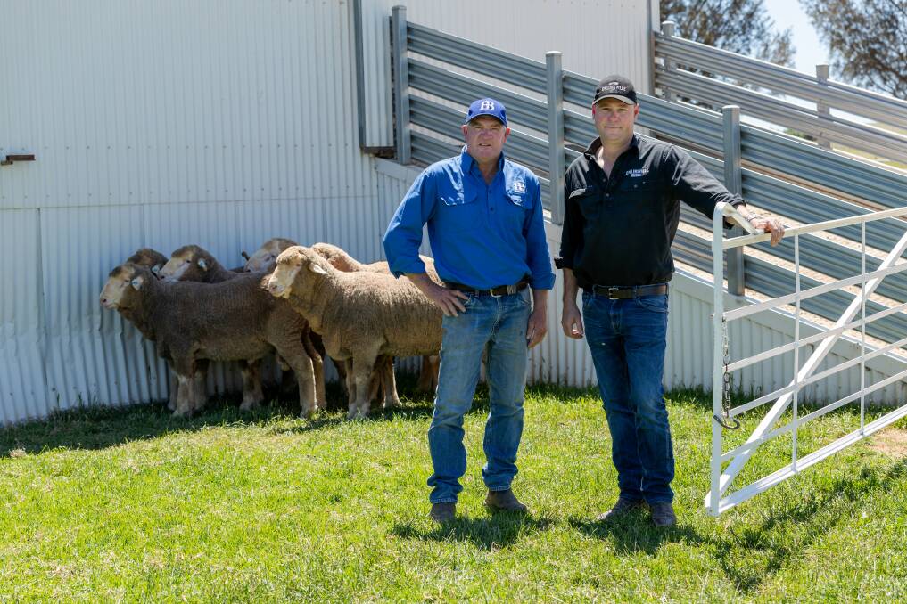 East Bungaree co-principal Tony Brooks, with George Millington of Collinsville Merinos after the sale. 