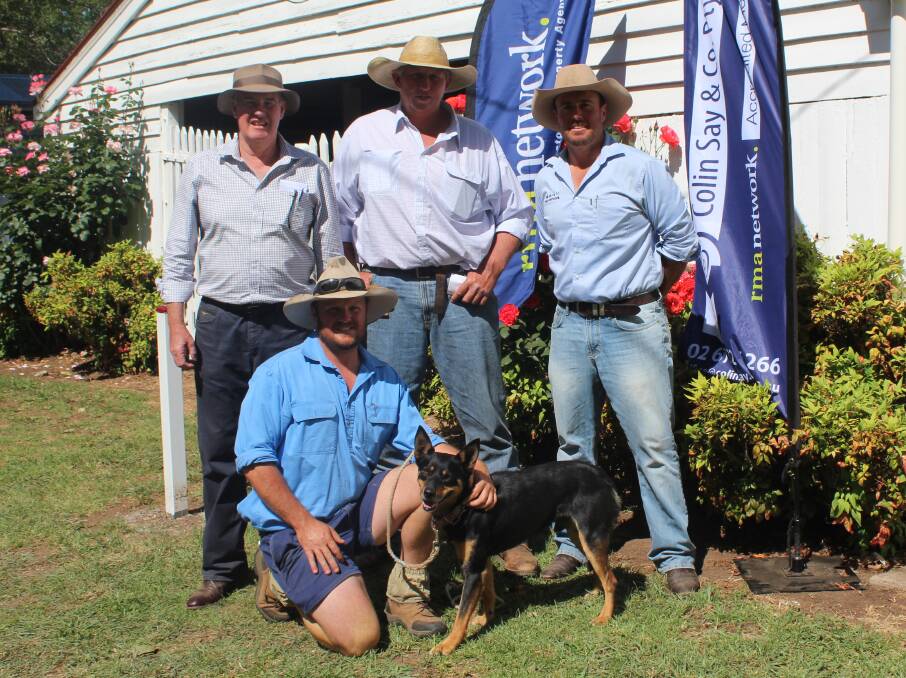 John Peden of RMA Network with vendor Tim Mackie, Colin Say and Co's Shad Bailey and purchaser Aaron Jones kneeling with the top priced dog, Harris Farm Jimmy.
