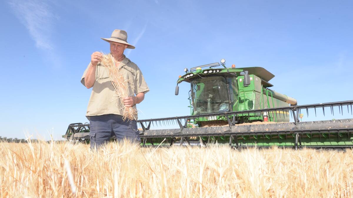 Nathan Heckendorf, Top Reeds, Narrandera, harvesting Spartacus barley, sown May 12. Photos: Rachael Webb