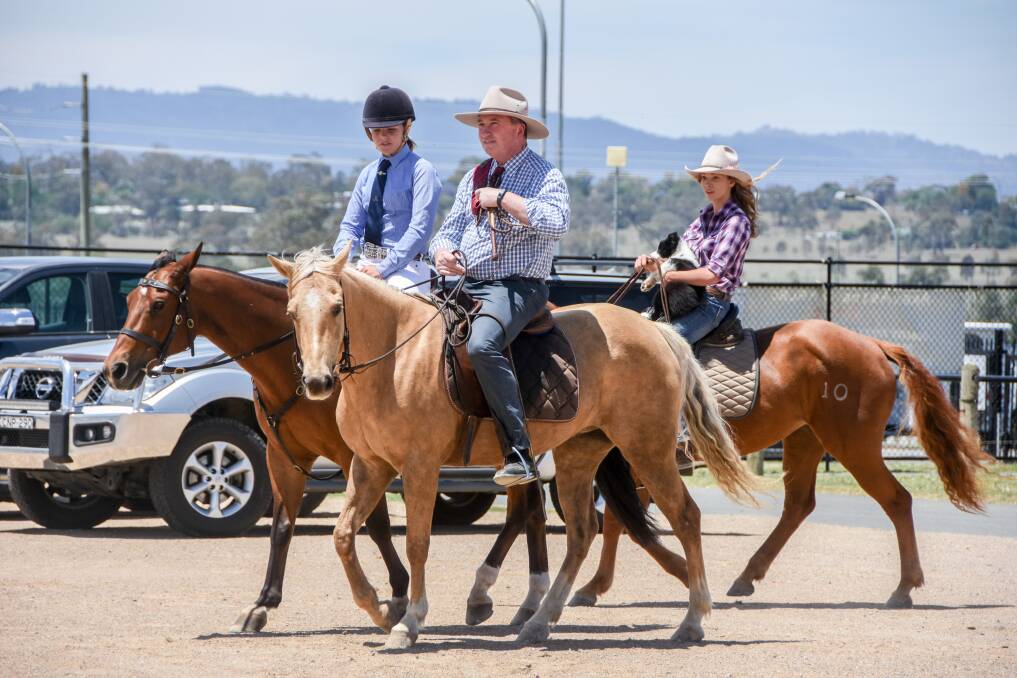 The Great Australian Round Up will include a stockman’s challenge, working dog trials and sheep shearing. 