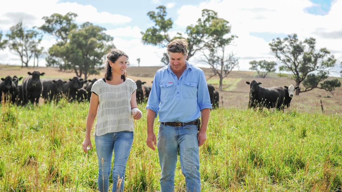Susie and Mitch Crawford of Baringa at Walcha had a dream debut in the Beef Spectacular Feedback Trial. Photos: Lucy Kinbacher
