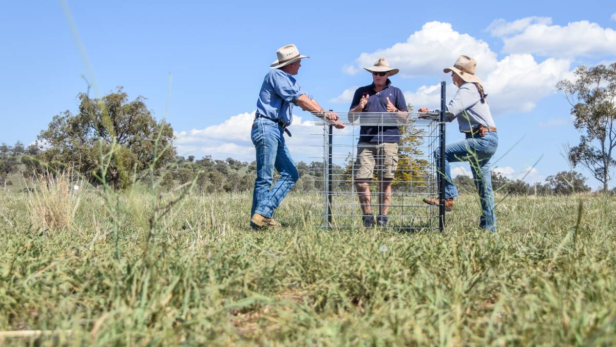 Producers from as far as Mudgee and Queensland have expressed interest in the trial and its results.