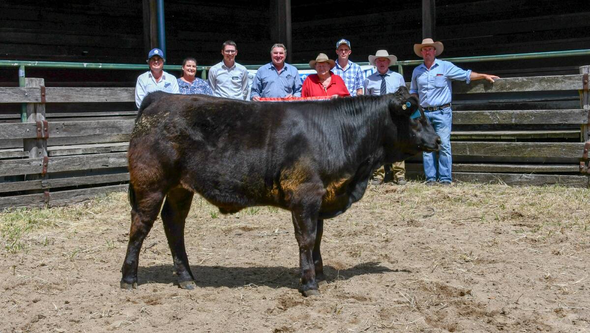 The 1600c/kg steer will be bound for the Royal Queensland Show in August. 