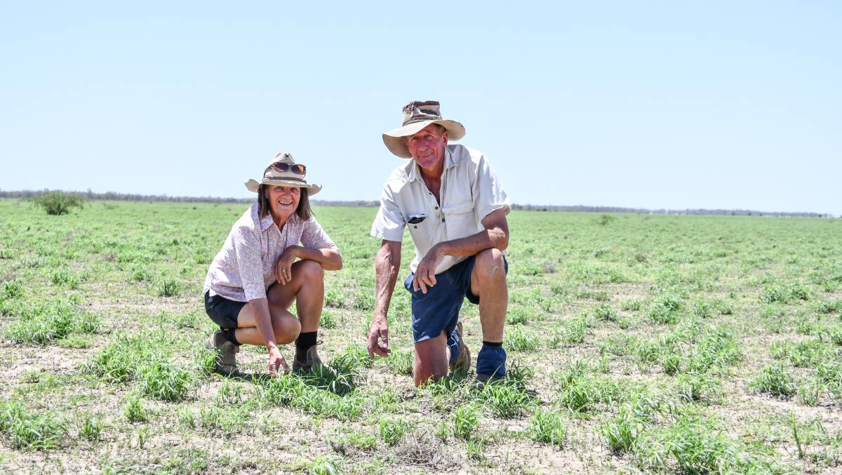 Coral and Philip with a rested paddock of Mitchell grass that is responding well. 