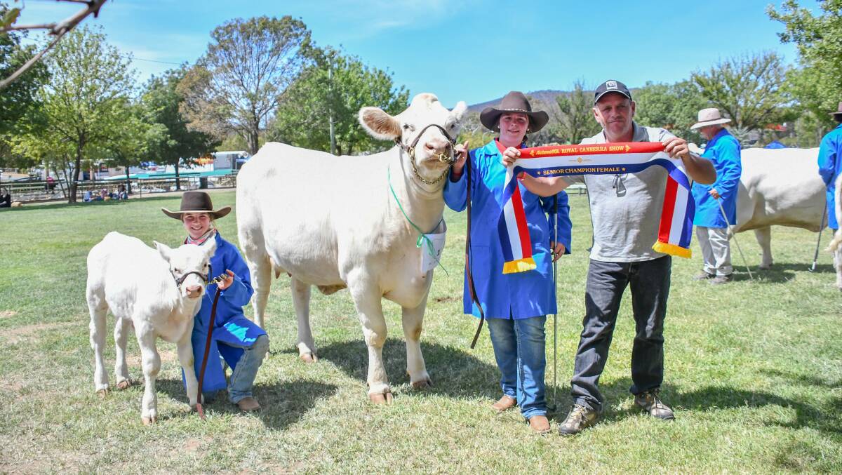 The grand champion female and supreme Charolais exhibit, Ryce Cutie Pie 17, with handlers Lacey Quinn and Ella Day and ribbon presenter Shane Smeathers. 