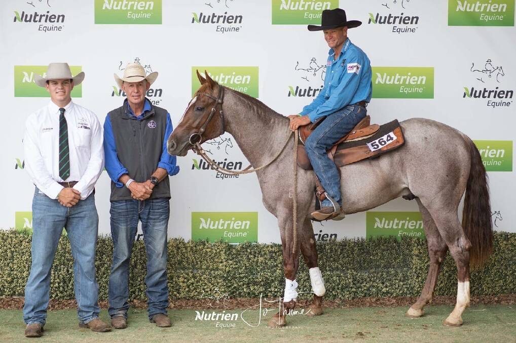Two-year-old stallion Branchvale Metal Alloy sold for $126,000 on account of Emdee Enterprises to Koobah Performance Horses, Kingswood. Photo: Nutrien Equine