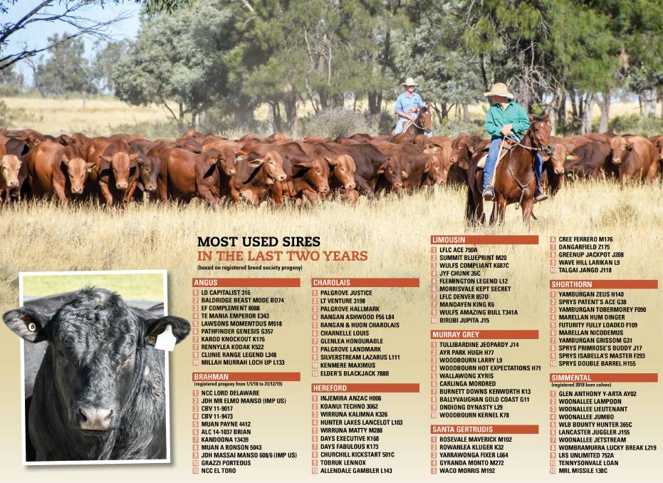 The Land can reveal the top 10 most widely used sires from nine leading breed societies filled with international representatives and a rising number of Australian sires.
