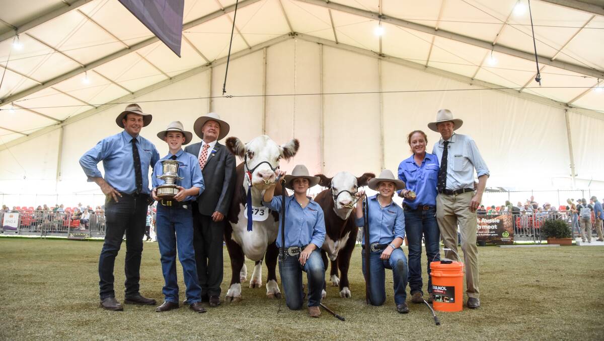 Grand champion female and best Hereford exhibit was awarded to Kanimbla Harmony K157 and her bull calf Tondara Mason with Geoff Bush, Thomas Holt, judge Peter Falls, handlers Jordan Alexander and Cassie Bush, Sophie Holt and Tom Holt. 