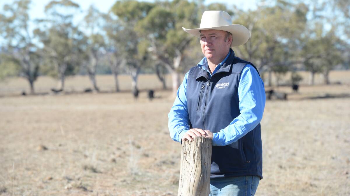 Mr Munro said water issues and a lack of roughage were some of the biggest set backs for bull buyers.