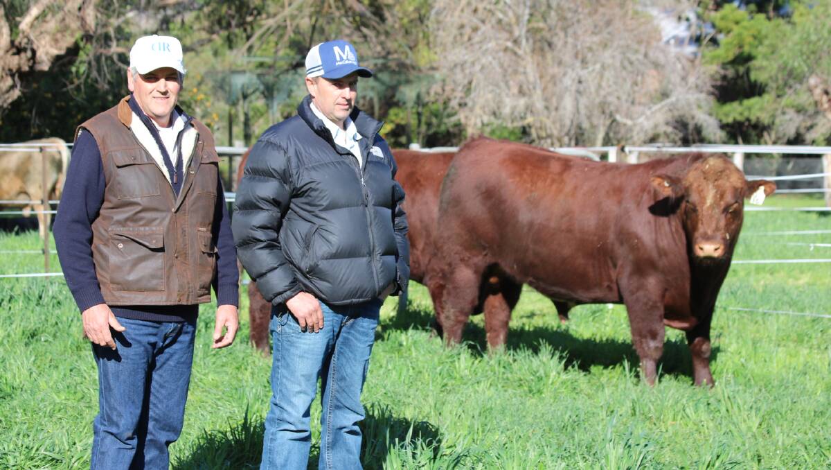 Turanville Doug Robertson with Jim MacCallum who secured the top priced bull bound for King Island. 