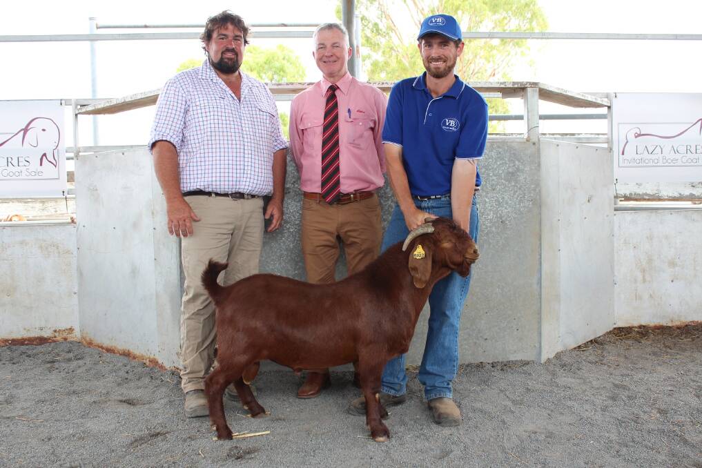 Buyer Benjamin Stanford of Best Reds stud with Elders auctioneer Andrew Meara and vendor Thomas Youlden holding the $6400 red buck. 