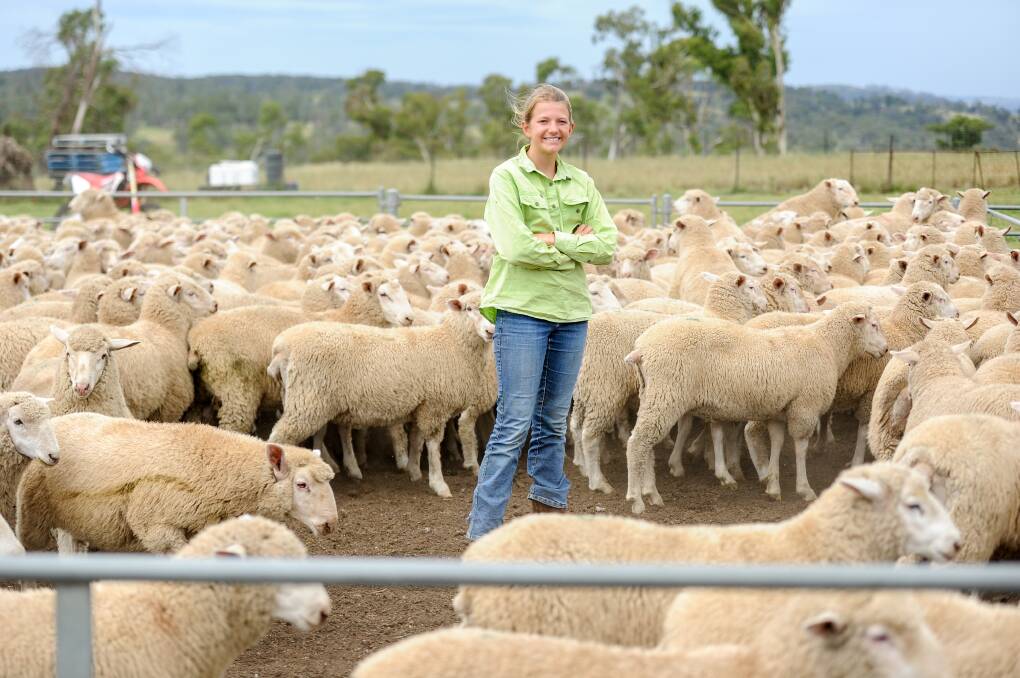 How poddy lambs sparked a sheep enthusiast