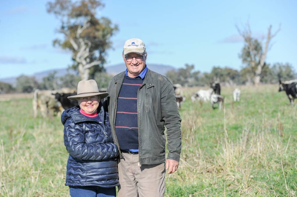 Annie and Guy Ratliff at home at Barraba where their first-cross females are calving down. 