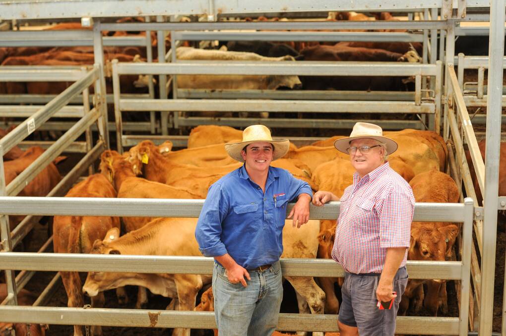 Davidson Cameron and Co agent Hamish Fauchon of Gunnedah caught up with Bruce Danson, Mentone, Narrabri who purchased this pen of 14 steers for $1560/hd at Tamworth on Friday. 