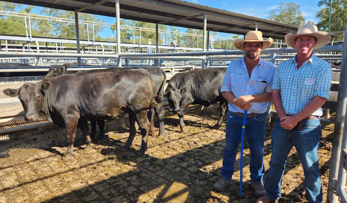 Rodney McDonald, Bowe and Lidbury, Maitland, and Sandy Alison, Cooreei Pty Ltd, Dungog, with their top priced pregnancy-tested-in-calf heifers ($4400) at the Maitland sale on Saturday. Picture by Bowe and Lidbury.