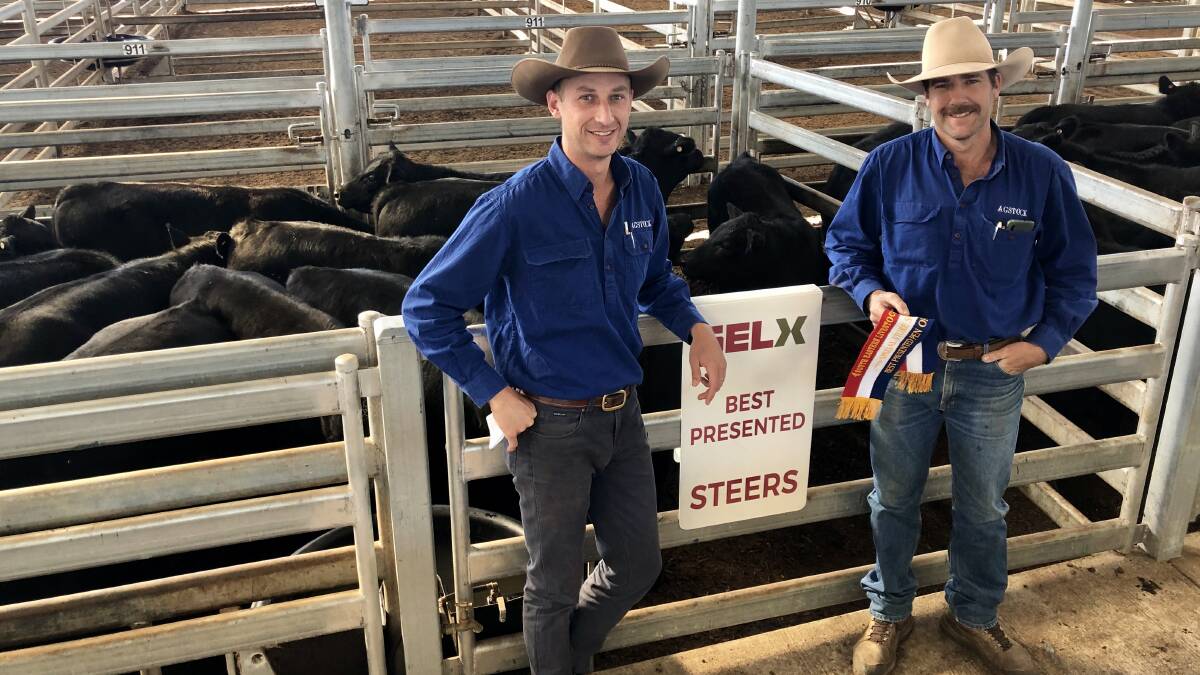 Sam Hunter, Agstock Yass, and Nathan Sheehan, Agstock Gundagai, representing the Stolworthy family, account of A and J Pastoral, Tumut, who were awarded the best presented steers prize during the Yass sale last Friday. Their pen of 26 Angus steers, weighing 303kg, sold for $1430 a head.