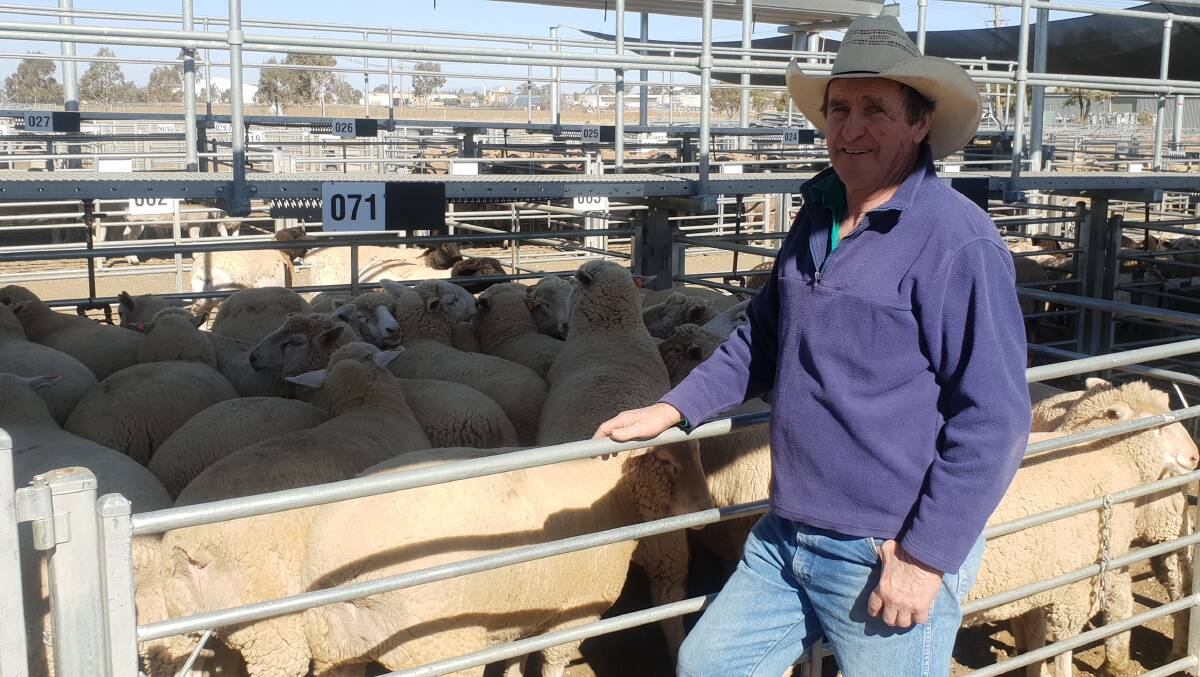Stewart Steiger, "Tarakan", Upper Bingara, with the lambs he sold for $292 a head at Tamworth on Monday.