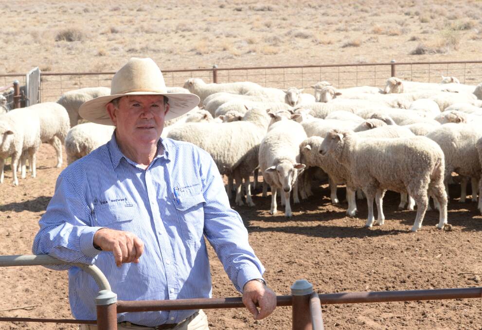 Peter O'Connor, AJF Brien and Sons, Coonamble