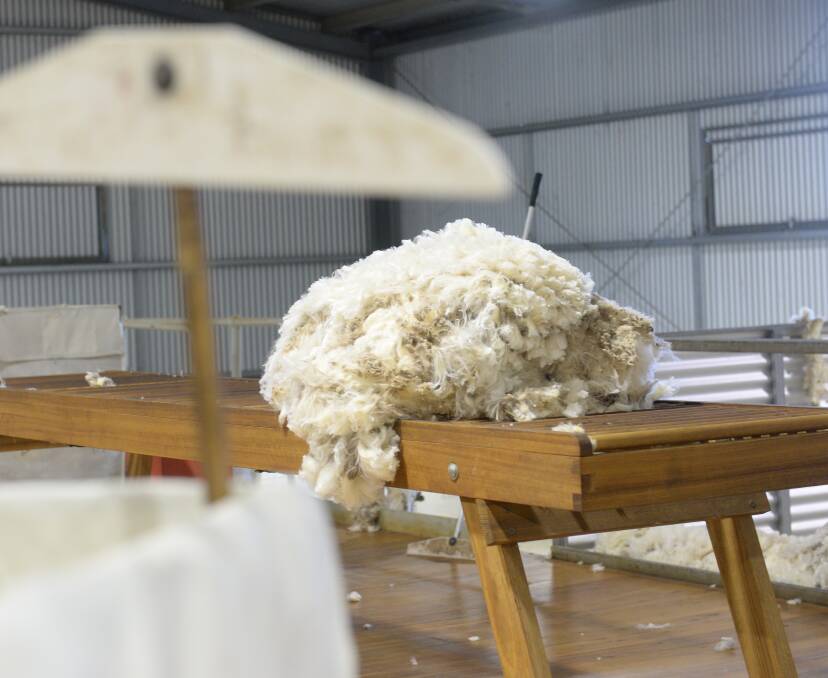 Superfine Merino fleece of the correct specifications recorded solid European interest last week, and a better quality Sydney catalogue was well supported by all of the trade.